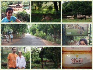 IMG_20140830_120712_Fotor_Collage