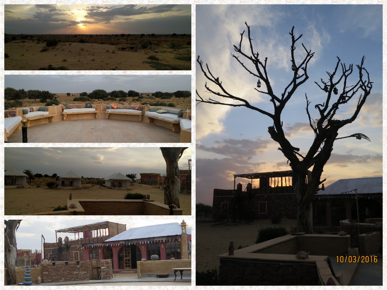 The lone tree silhouetted against the setting sun