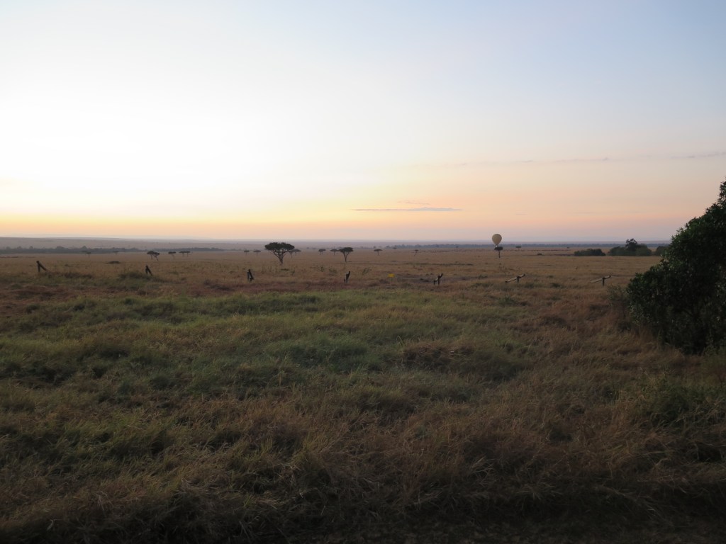 Sunrise across the Masai Mara and a Hot Air Balloon about to begin its ascent. Acacia trees dot the horizon.