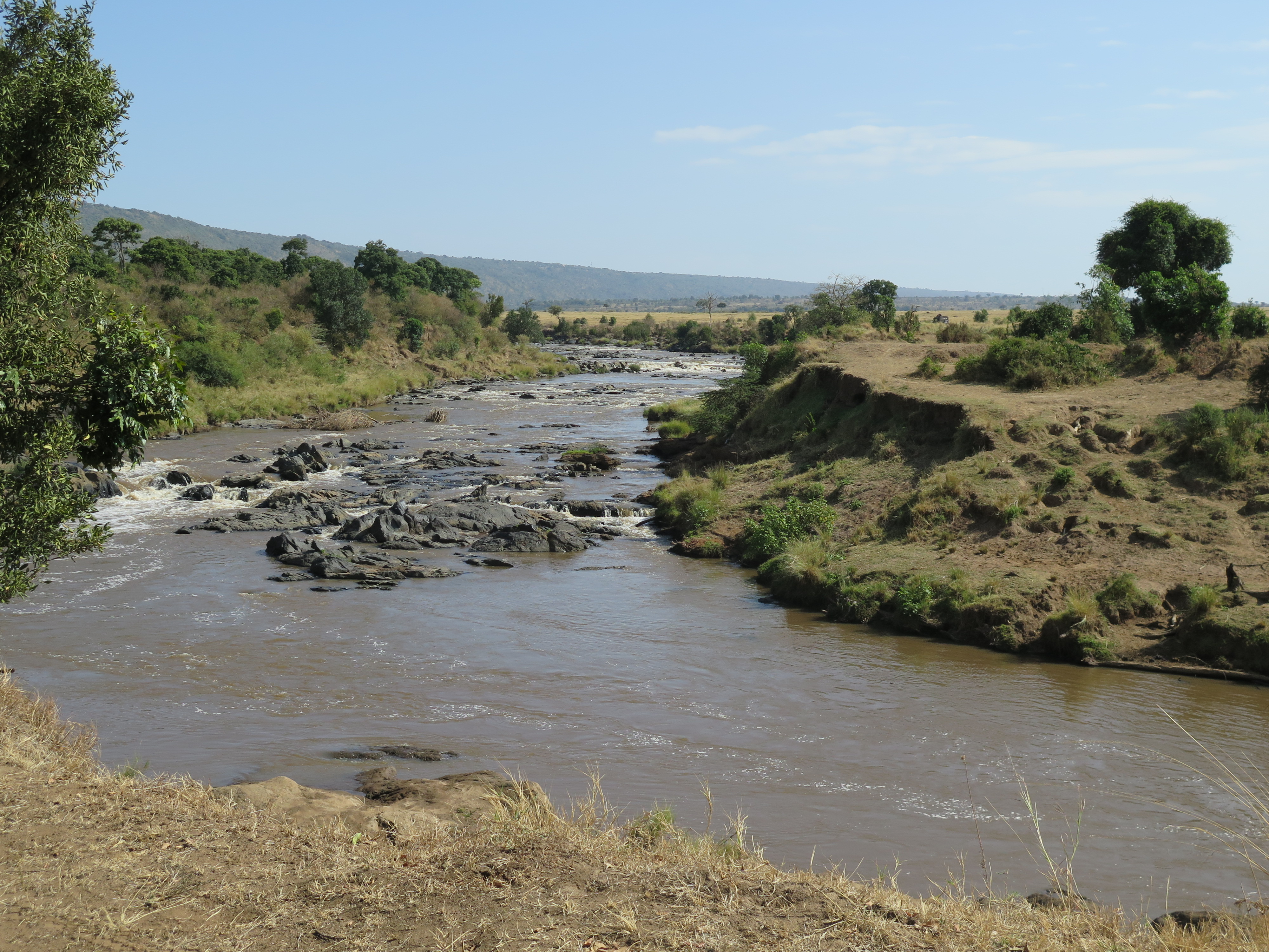 The Mara River