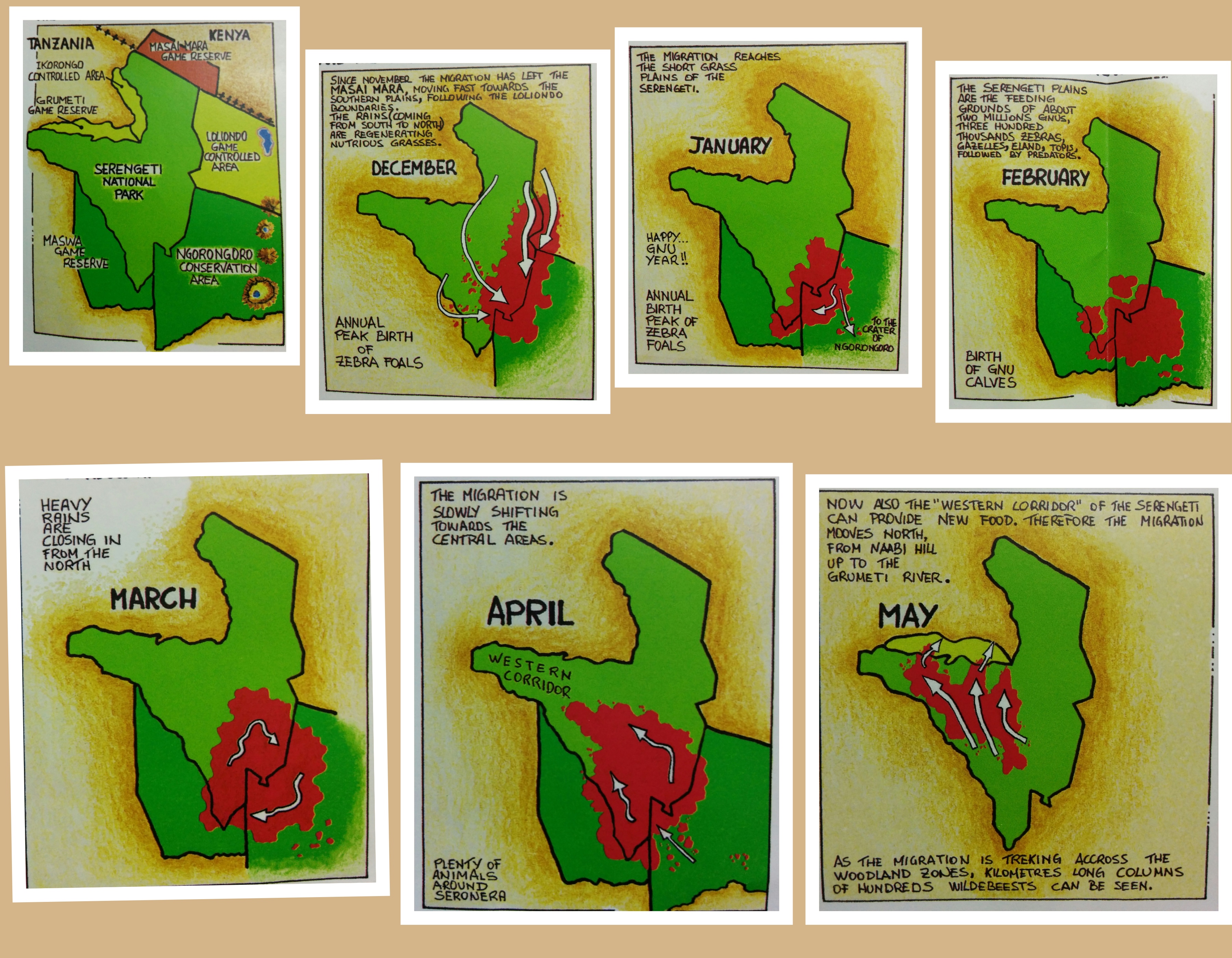 The wet season migration from November to May. Month wise map.