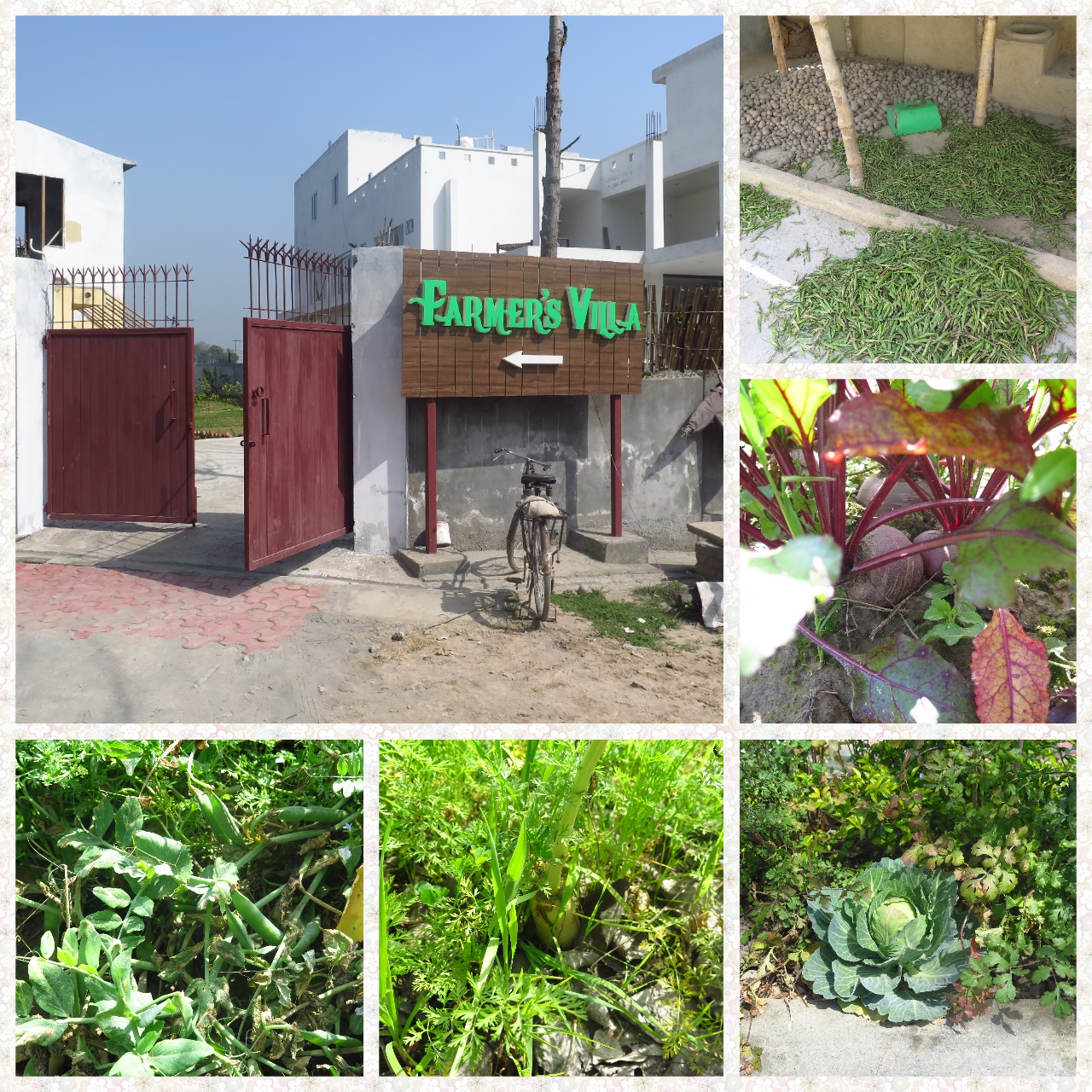 Farm fresh vegetables and villa entrance