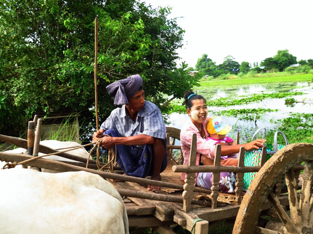 A family out for their morning chores use traditional bullock carts for their travel. The graceful lady of the house presents a confident smile while cradling her little one; All this while the husband while watching the road is also keeping an eye on his family
