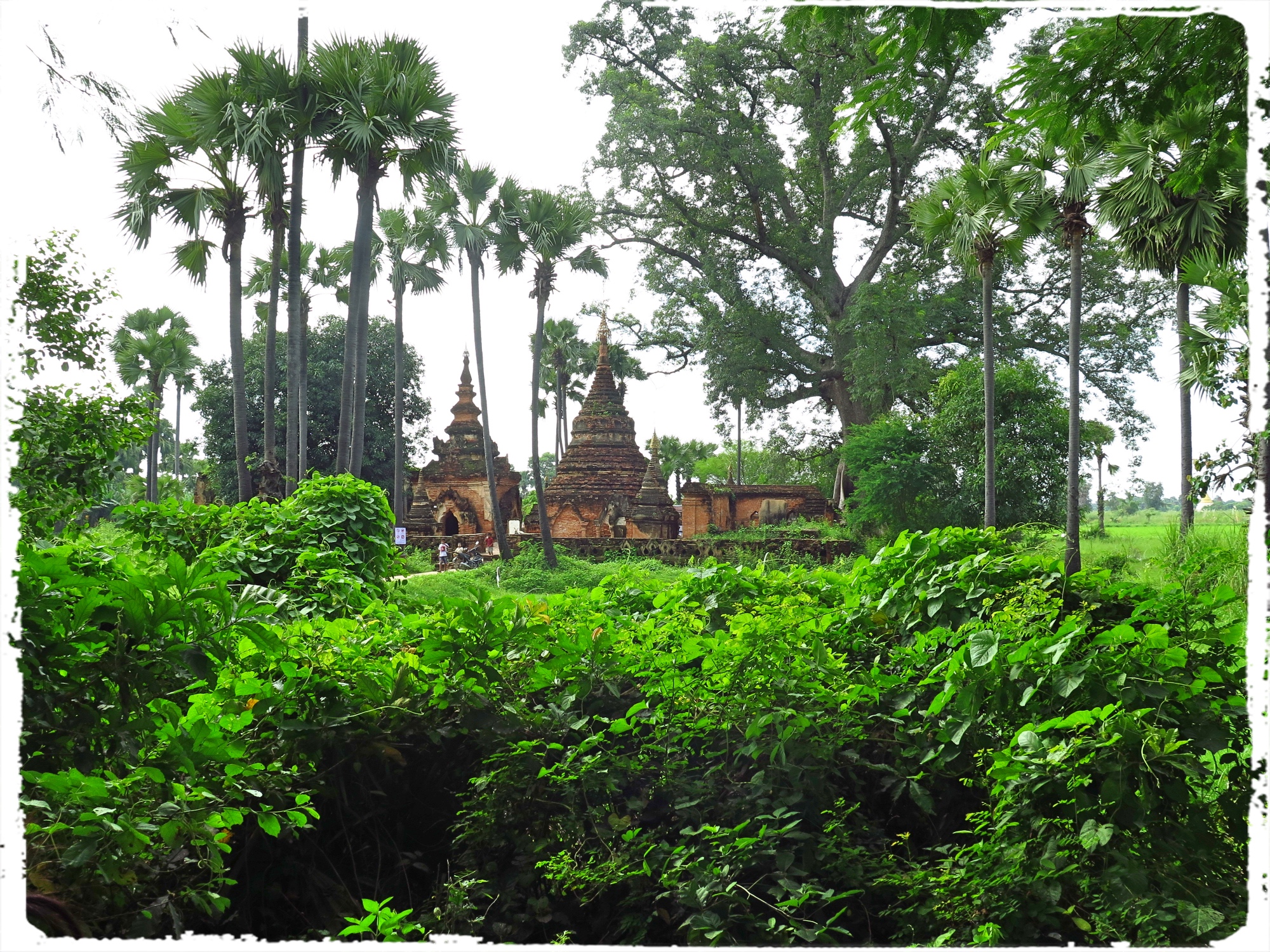 The Yedanasini temple is probably among all the well photographed temples in Myanmar. Set amidst thick countryside vegetation, the brick monument stands out in contrast in terms of color values.