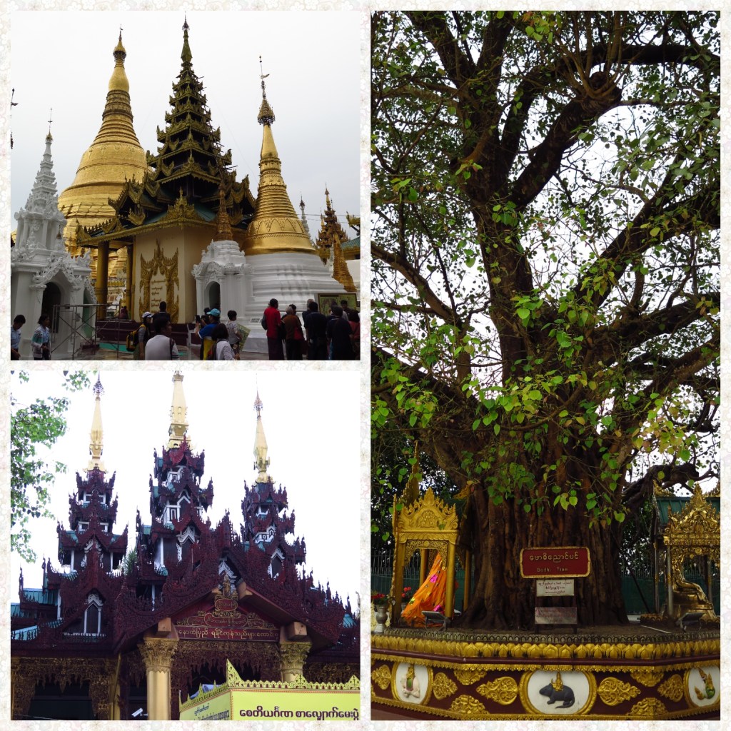 The Mahabodhi tree, 64 stupas around the main zedi and devotional halls
