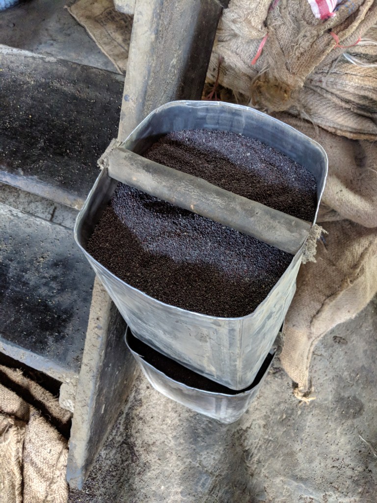 Oil tins for Mustard ready to be pumped in to Oil extraction machine. A log has been used to serve as a makeshift handle